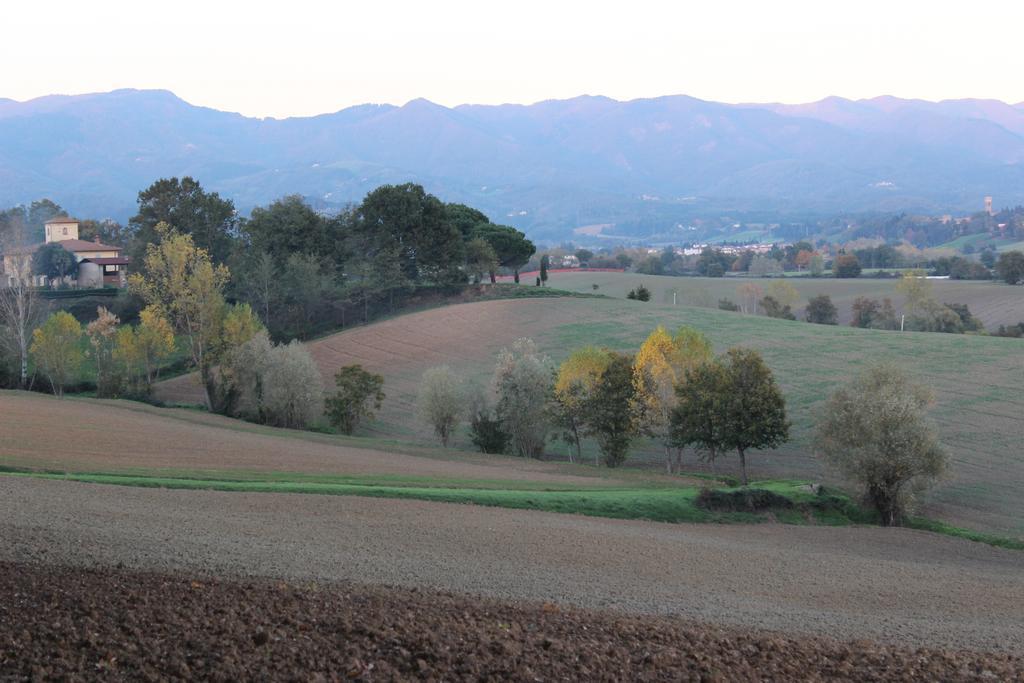 Intorno Firenze B&B San Piero a Sieve Exterior photo